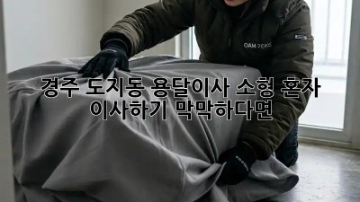 경주 도지동 용달이사 소형: 혼자 이사하기 막막하다면?