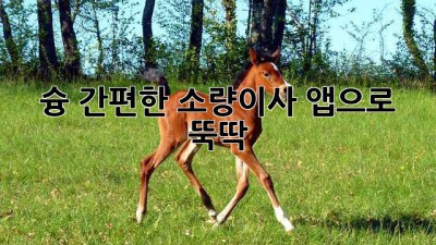 📦 슝! 간편한 소량이사, 앱으로 뚝딱! 📱